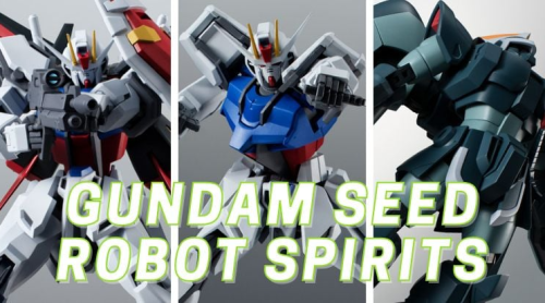 GUNDAM SEED ĐÓN SINH NHẬT 20 CÙNG ROBOT SPIRITS